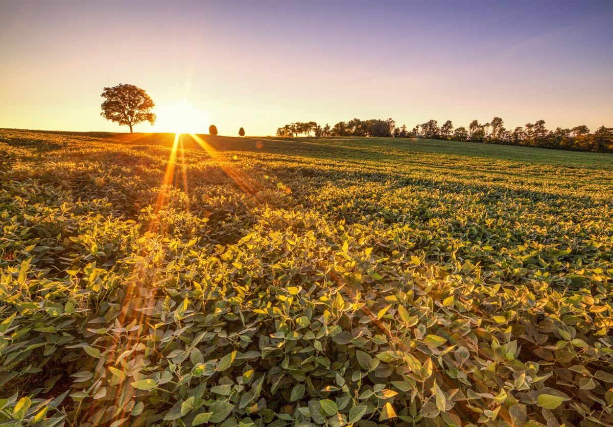 Trust Expands Campaign to Protect 42 Acres at Chancellorsville — photograph 5 from the original article