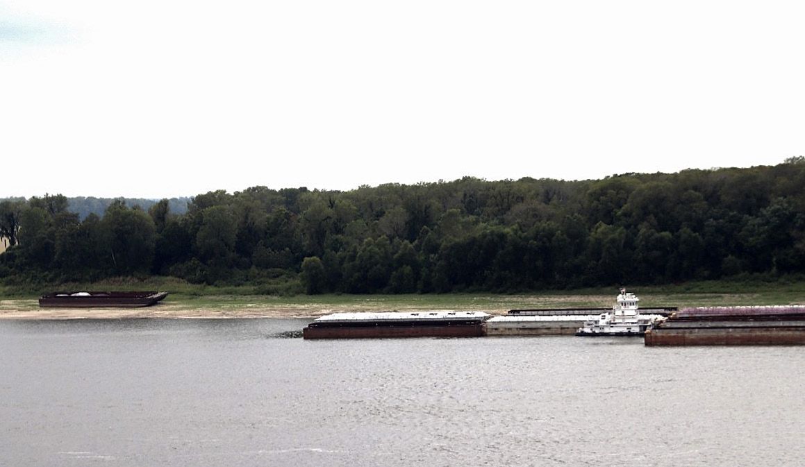 A view from Columbus Park across the Mississippi River at the Belmont Battlefield. — photograph 5 from the original article
