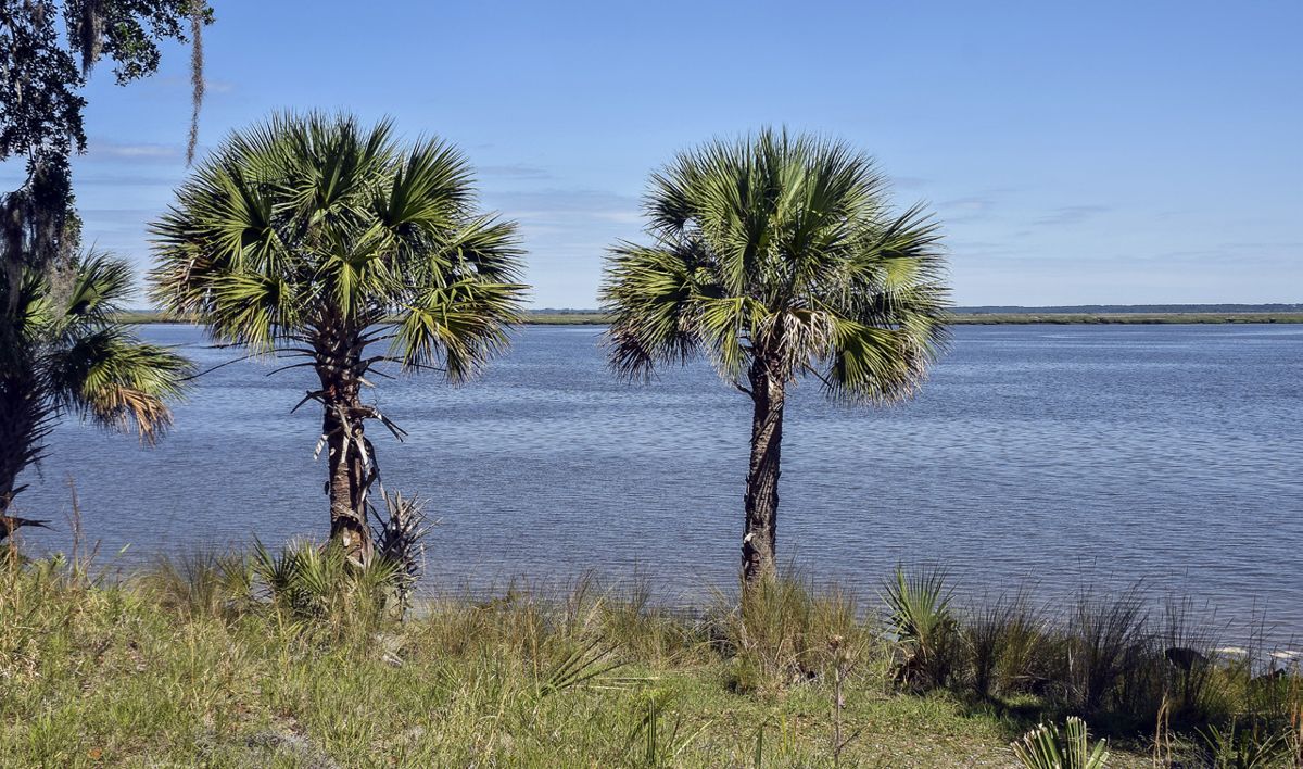 Fort McAllister Southern Sentinel on Georgia’s Ogeechee River — photograph 3 from the original article